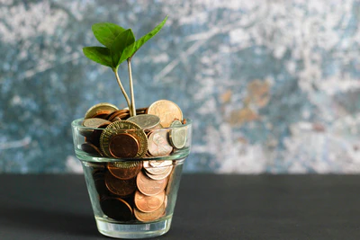 Finance solution